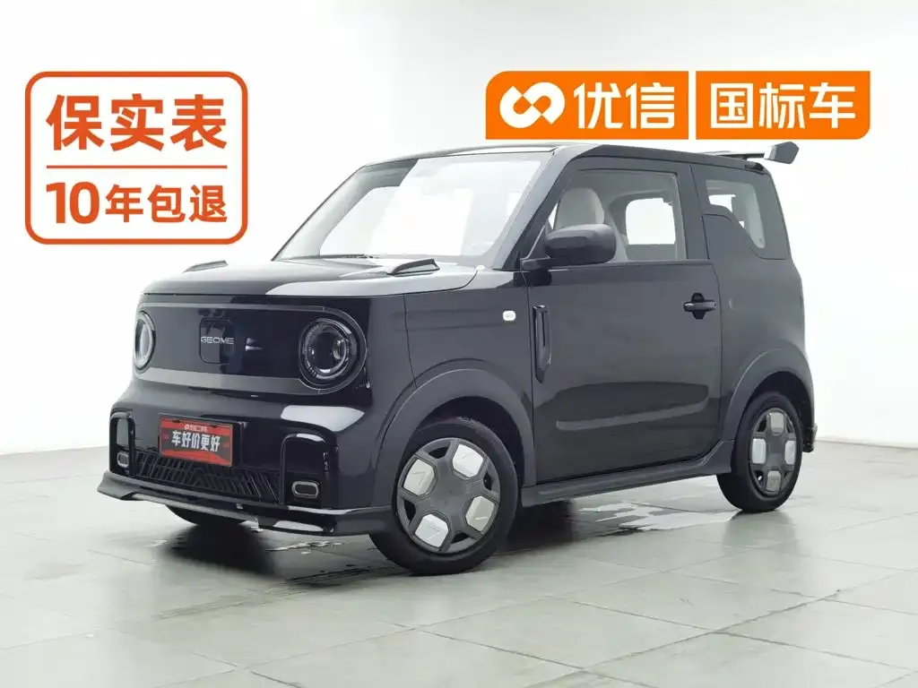 Geely Galaxy Panda Model Year 210km Panda Kart