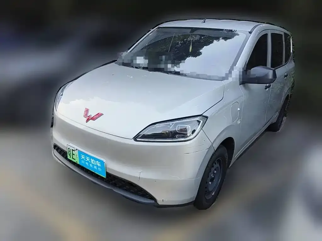Wuling Motors Wuling Hongguang New Energy Pure Electric 300KM Standard