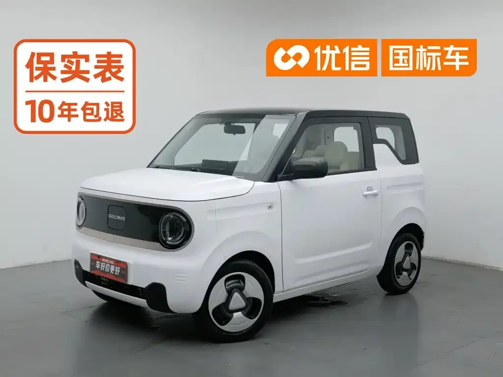 Geely Galaxy Panda Panda Mini New Year Edition -