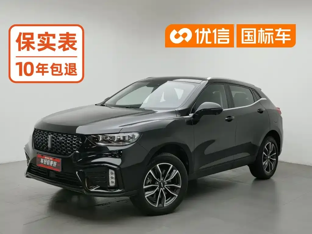 WEY Wey VV5 1.5T 2WD Smart Pioneer