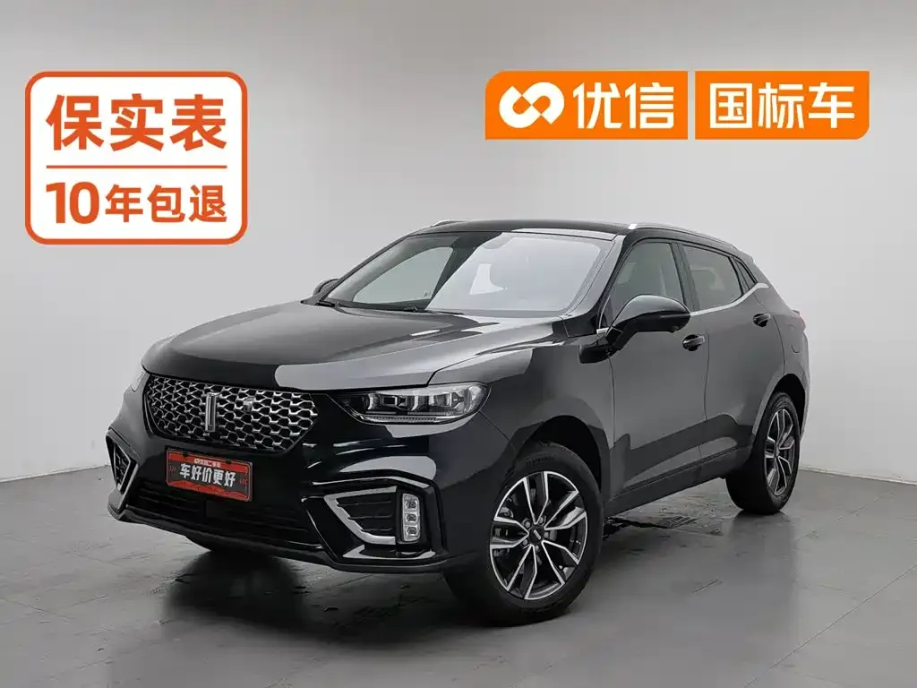 WEY Wey VV5 1.5T 2WD Smart Pioneer