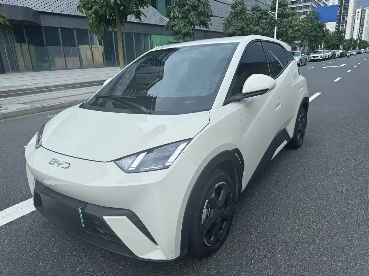 BYD Seagull Glory Edition 305km Freedom