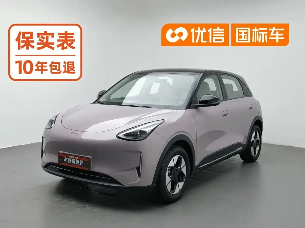 Geely Galaxy Starry Wish 310km Dream Edition