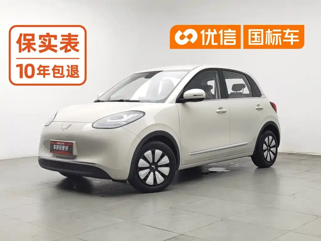 Wuling Motors Wuling Bingo 203km Comfort Version