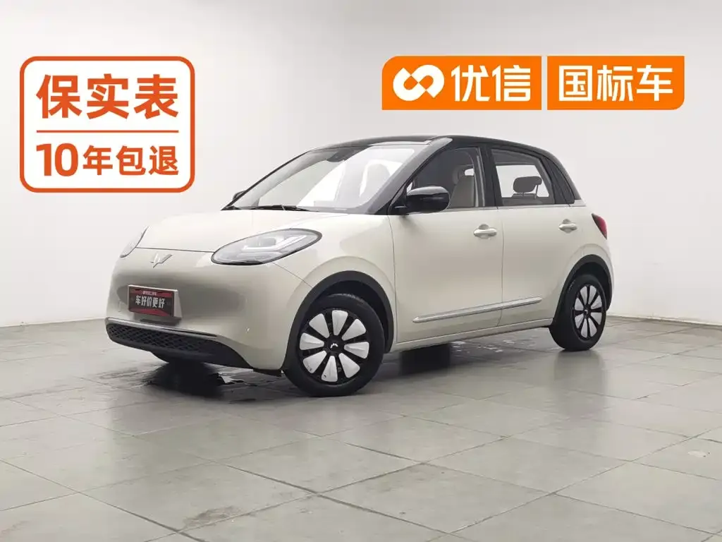 Wuling Motors Wuling Bingo 203km Comfort Version