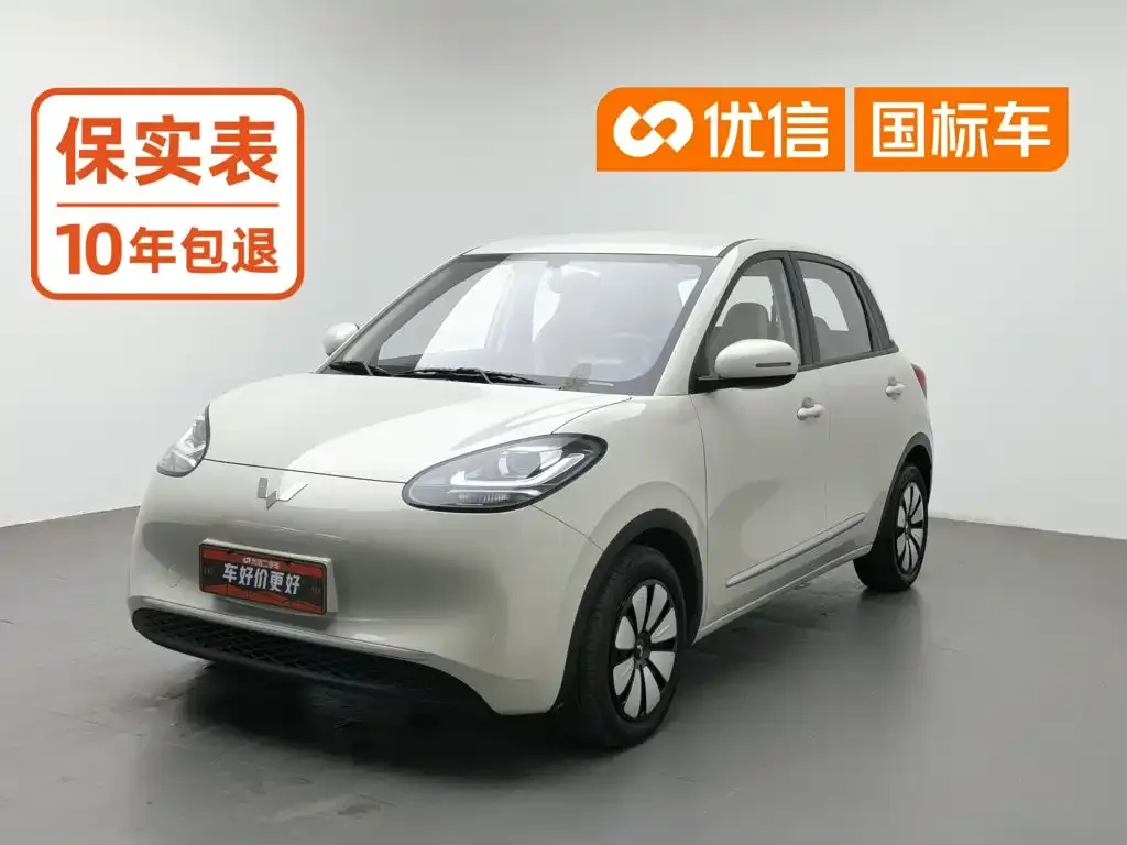 Wuling Motors Wuling Bingo Model 203km Lite Enjoyment