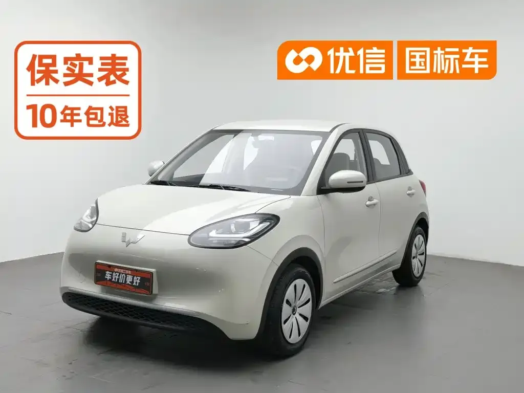 Wuling Motors Wuling Bingo Model 203km Lite Enjoyment