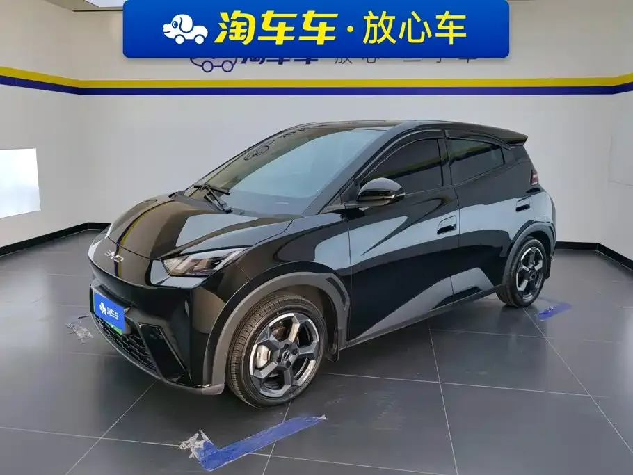 BYD Seagull Flying Edition