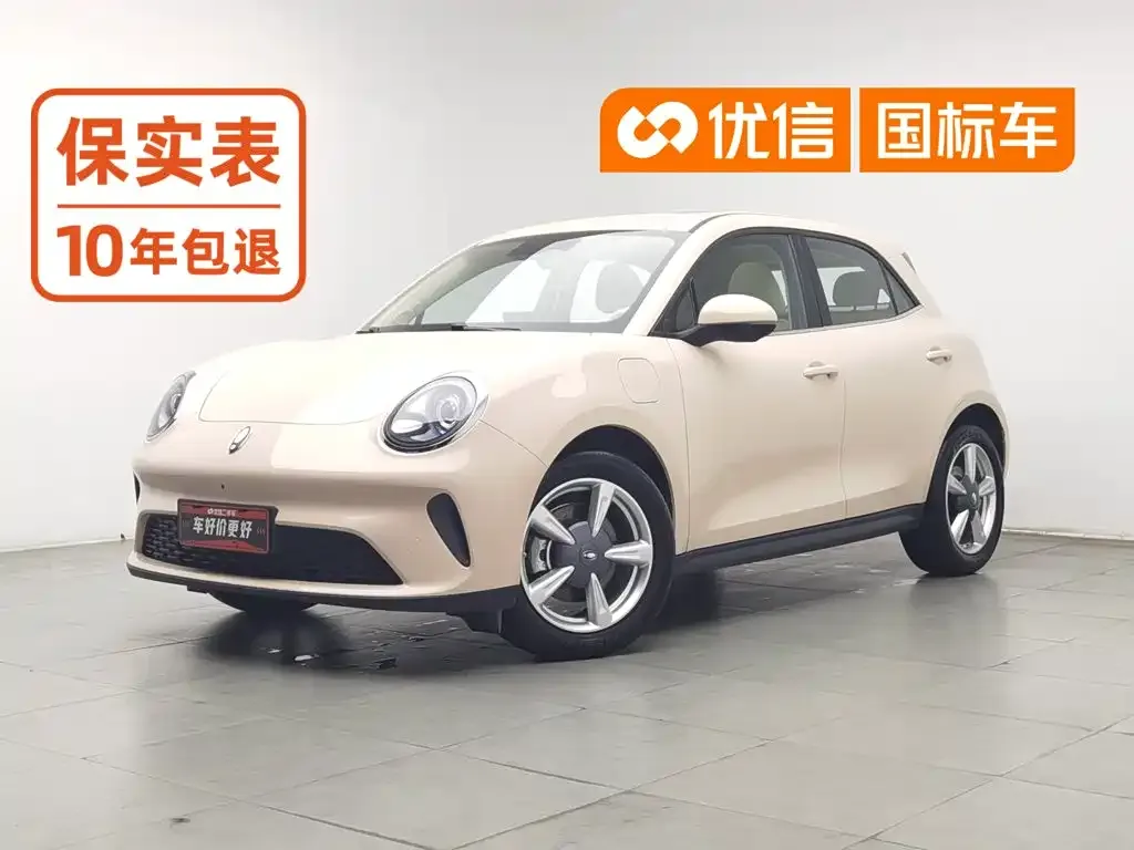 Ora Good Cat Model 430km Luxury