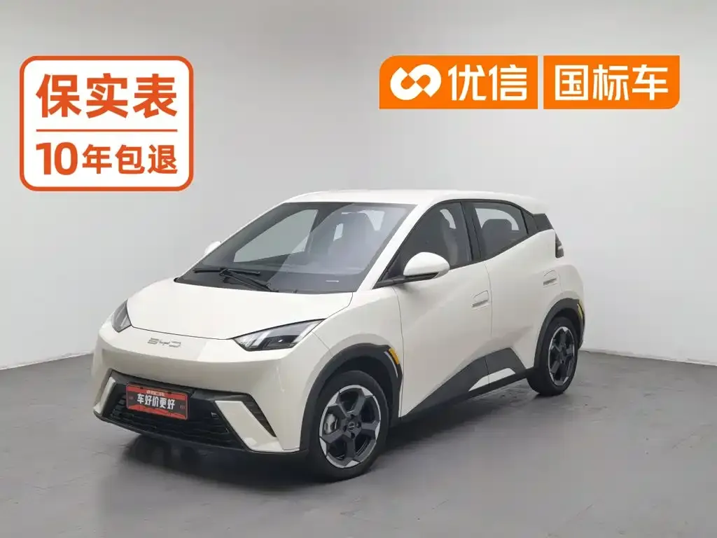 BYD Seagull Flying Edition
