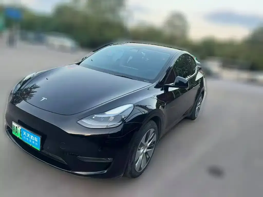 Tesla Model Y Standard Range Rear-Wheel
