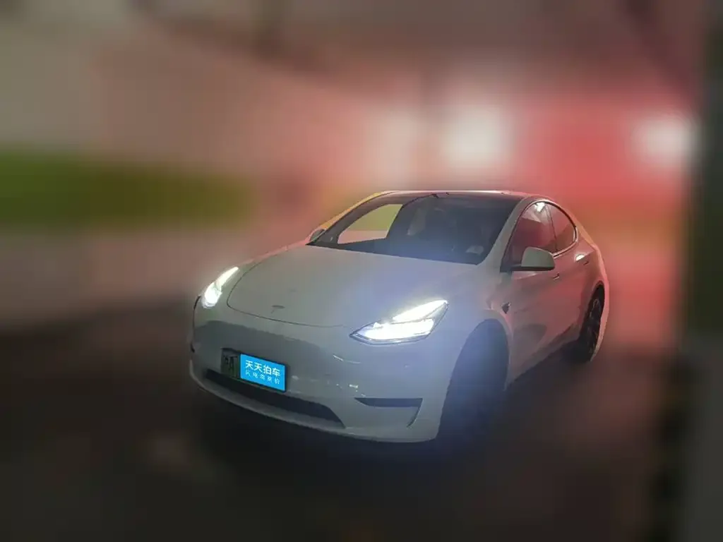 Tesla Model Y Rear-Wheel Drive Version
