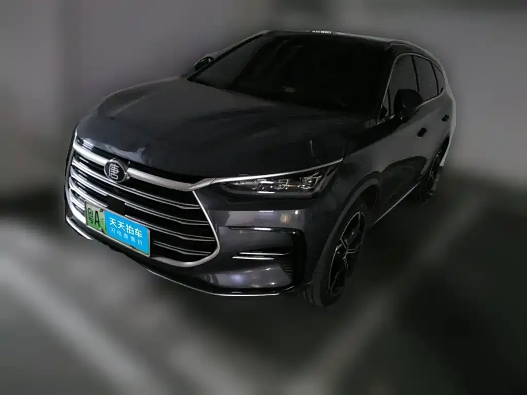 BYD Tang New Energy DM-i 112KM Premium
