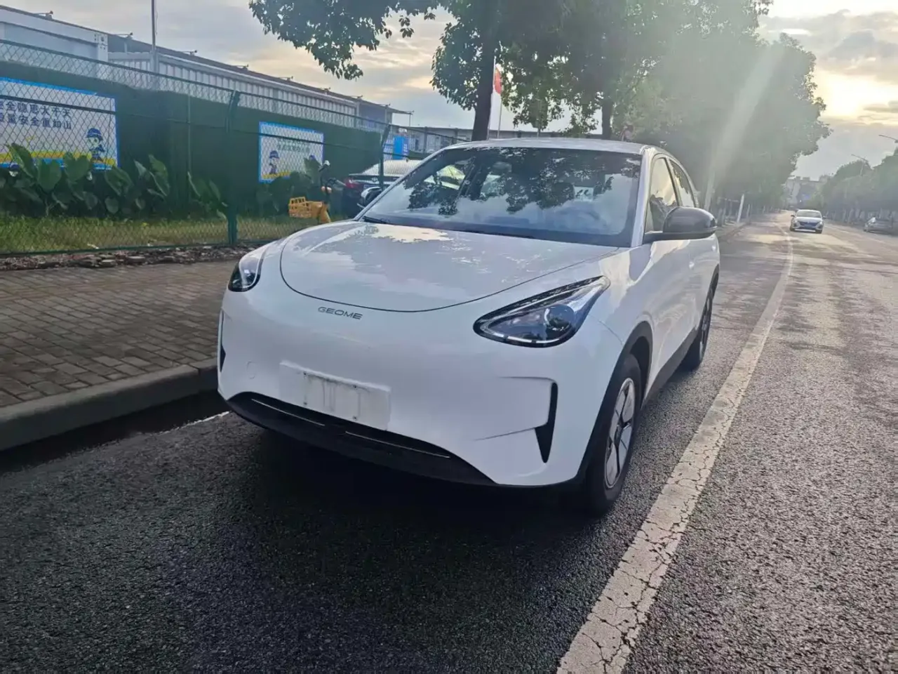 Geely Galaxy Starry Wish 310km Youth Edition