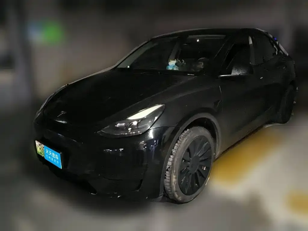 Tesla Model Y Rear-Wheel Drive Version