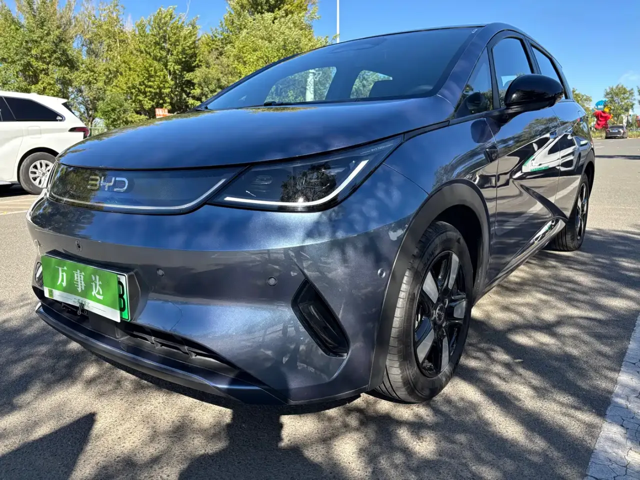BYD Dolphin Smart Drive Edition 410km