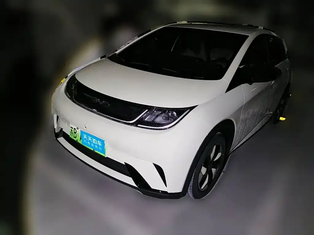 BYD Dolphin Glory Edition 420km Freedom