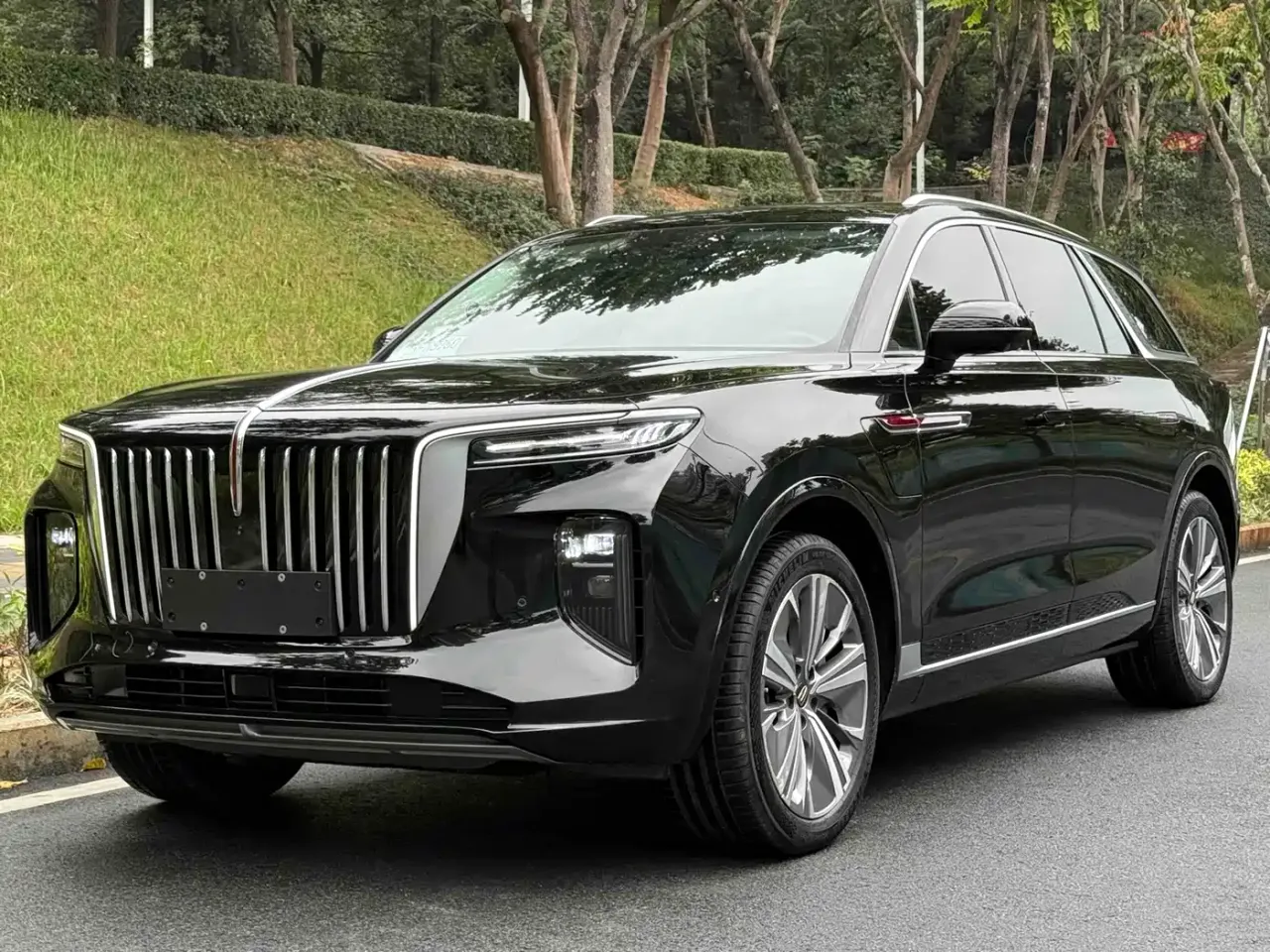 Hongqi E-HS9 460km Flagship Comfort