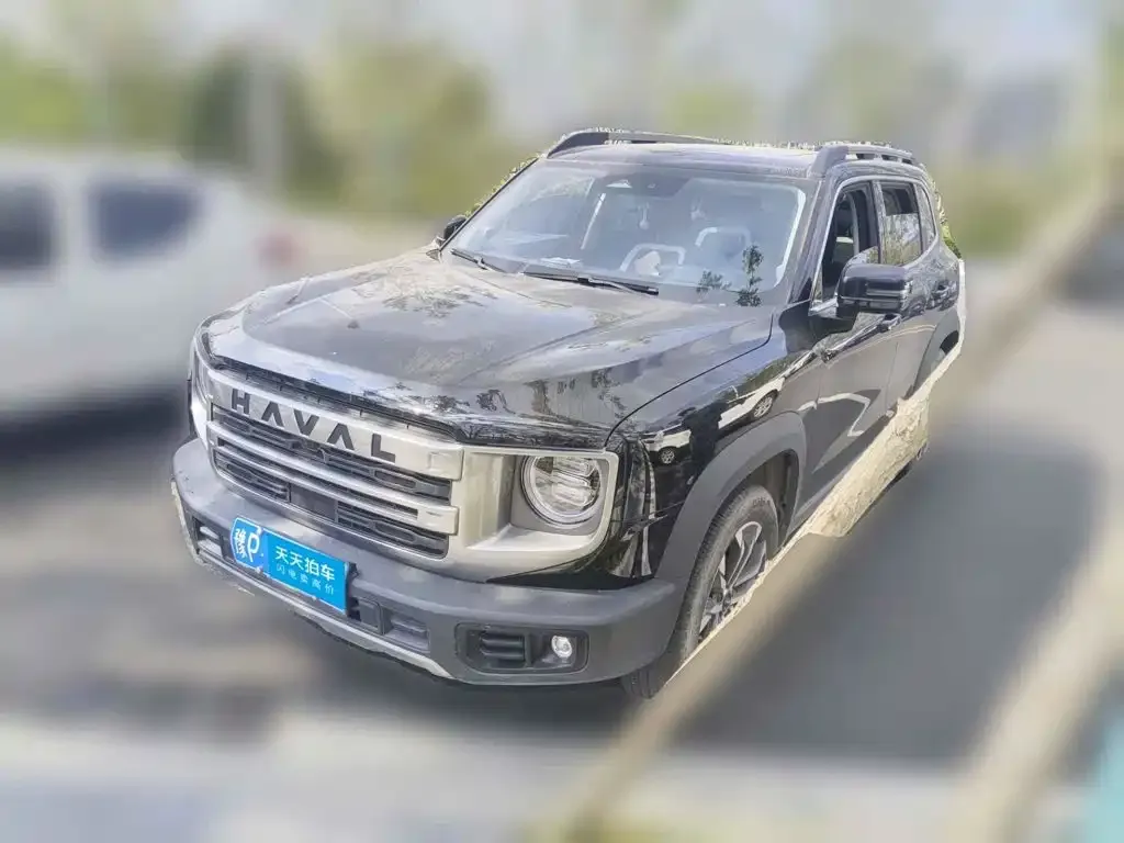 Haval Big Dog 1.5T DCT Border Collie Edition