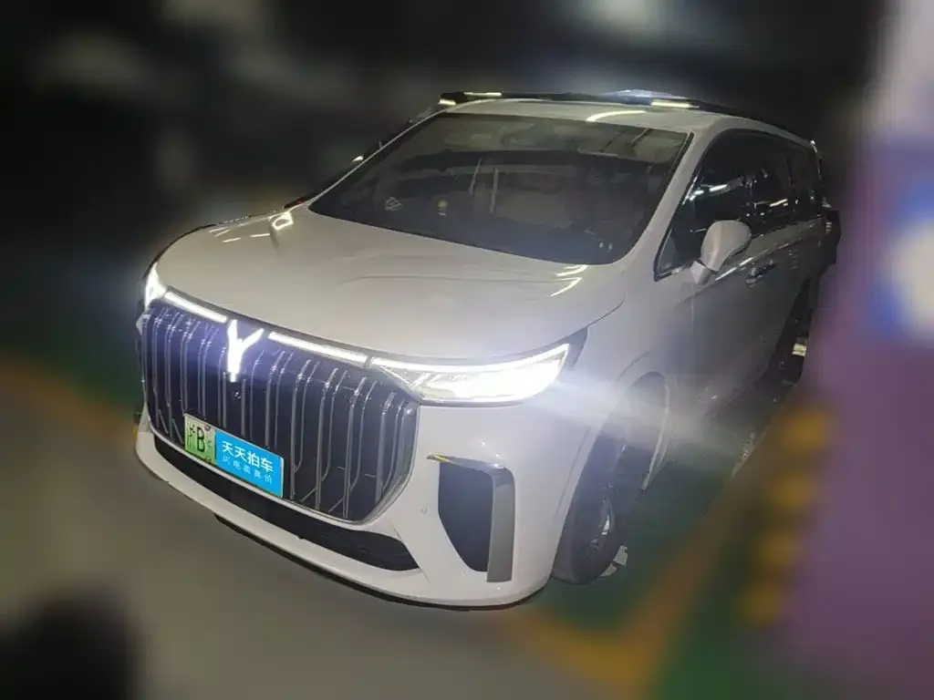 Voyah Auto Voyah Dreamer Low Carbon Edition Home