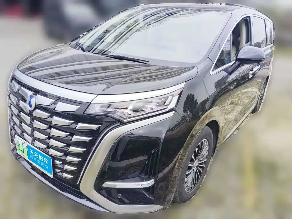 Denza D9 DM-i 980 AWD Flagship