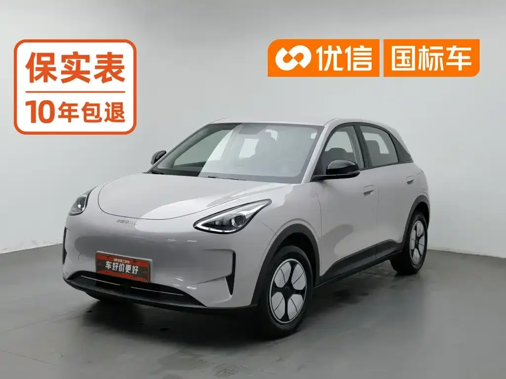 Geely Galaxy Starry Wish Edition 310km Youth Version