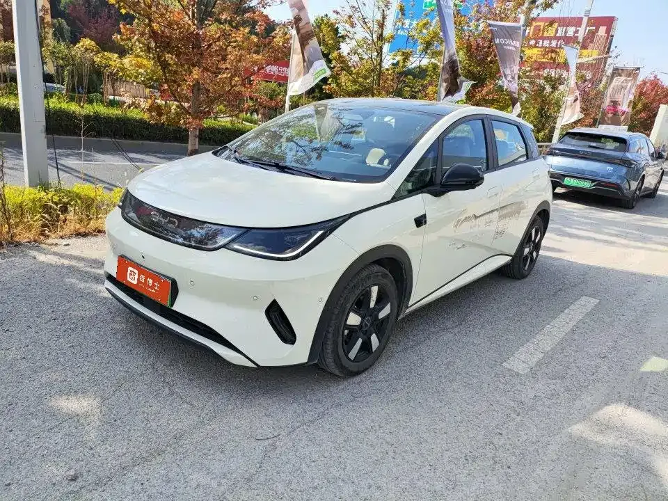 BYD Dolphin Smart Drive Edition 410km