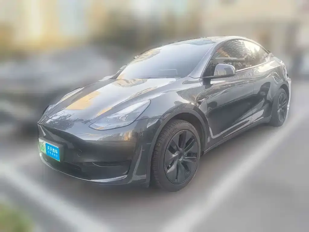 Tesla Model Y Rear-Wheel Drive Version